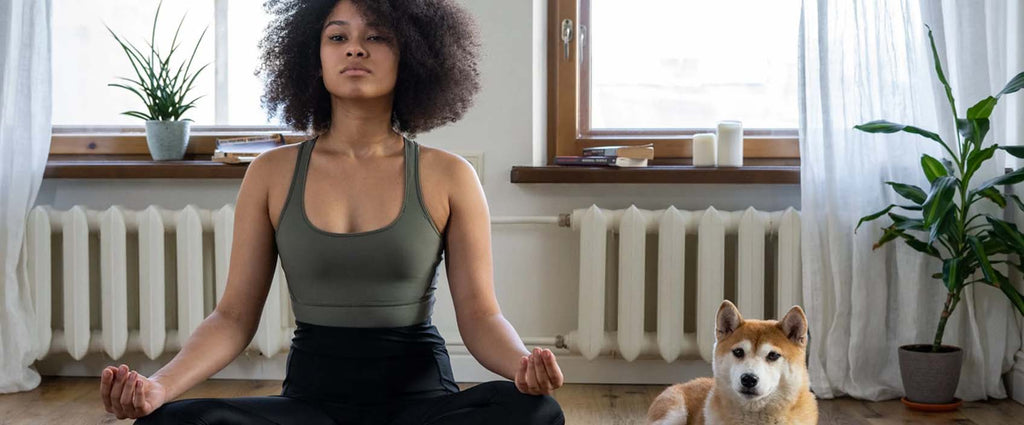 Las mejores opciones de proteína vegetal para atletas y deportistas