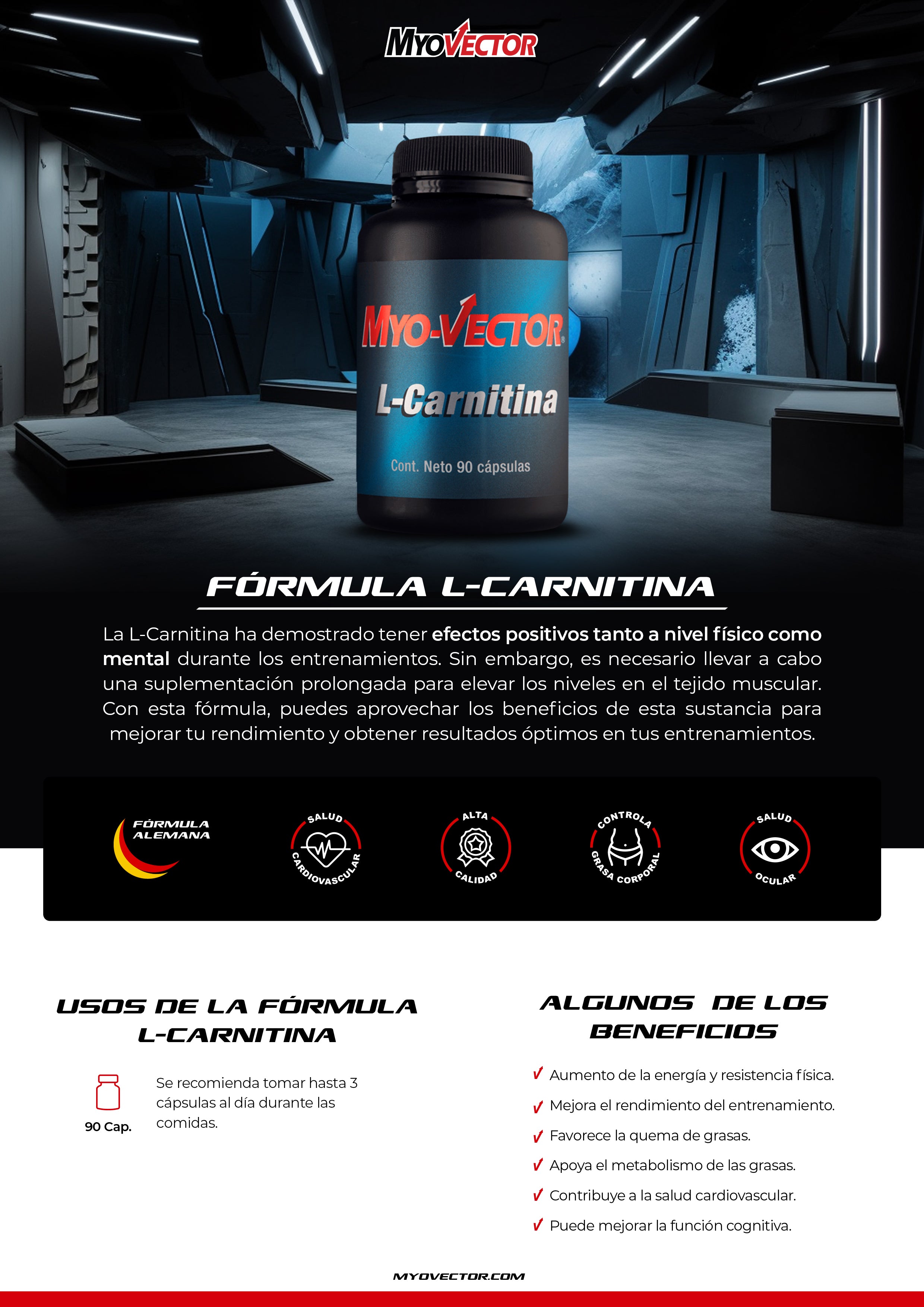 L-Carnitina by MyoVector | 90cap.