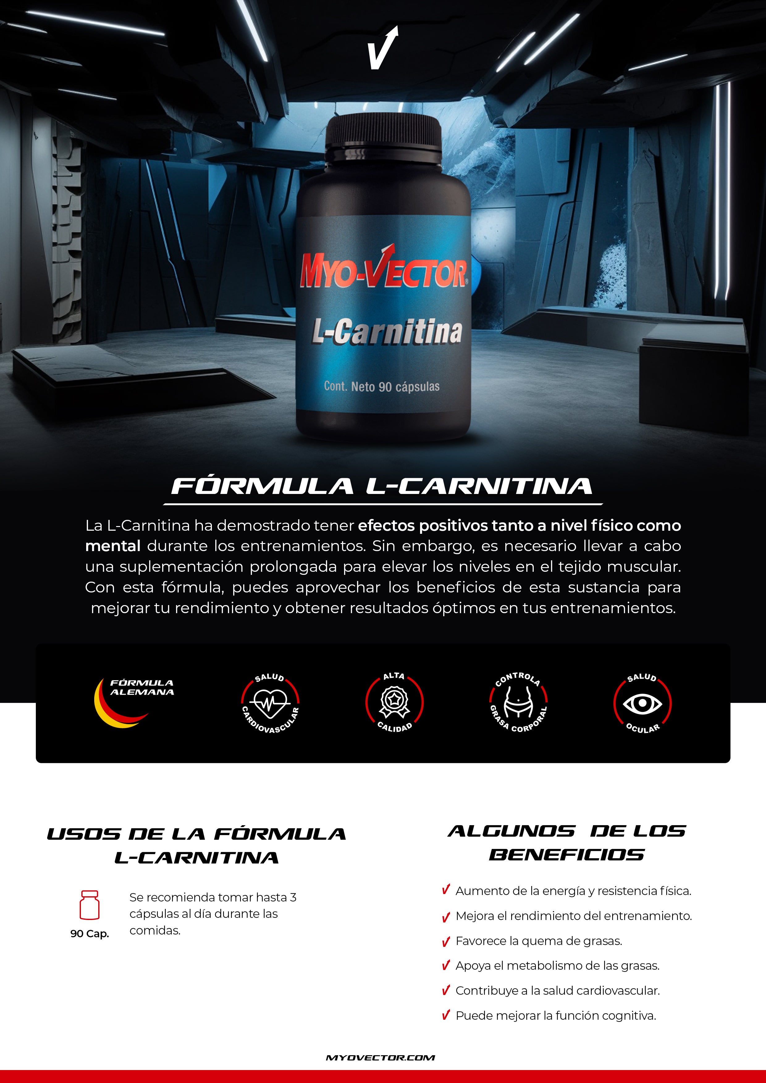 L-Carnitina | 90cap.